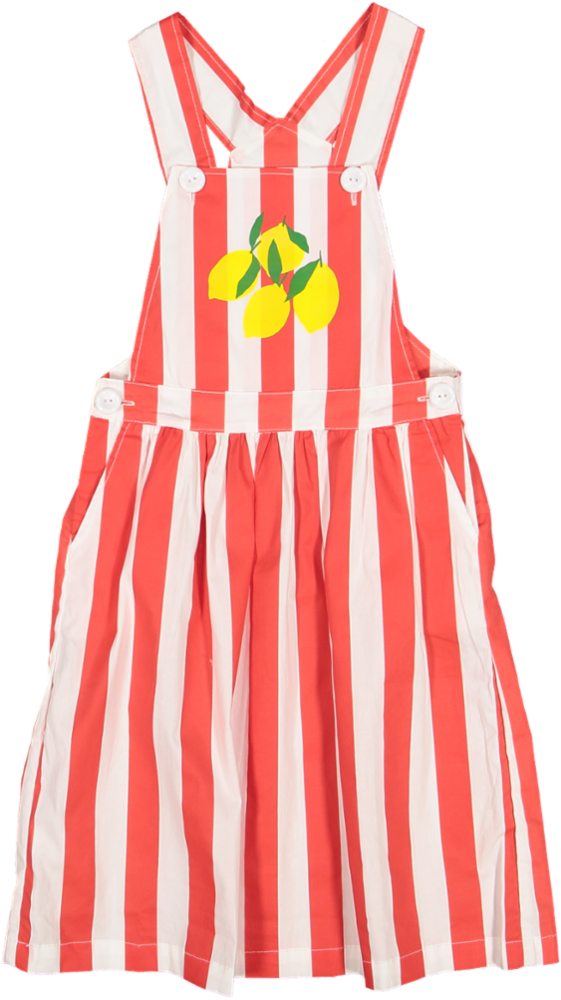 DR23-95 DUNGAREES JUMPER - RED STRIPE