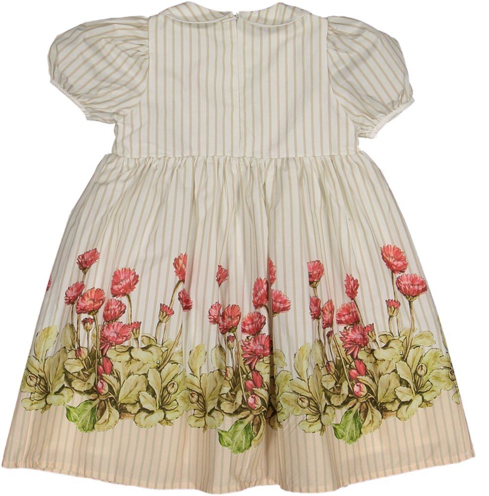 C-26112-Striped Floral Puff Sleeve Collar Dress-White/Tan