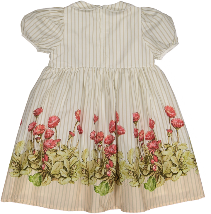 C-26112-Striped Floral Puff Sleeve Collar Dress-White/Tan