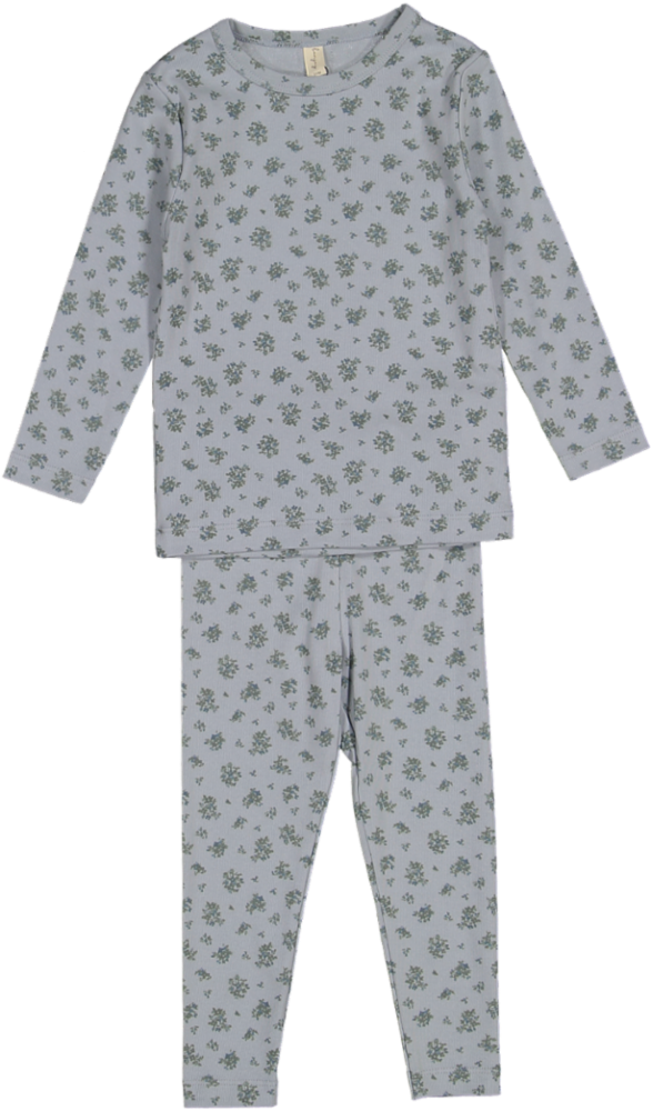 BPSS260063LP-Garden Party Long Sleeve Pj's-Cluster Blue