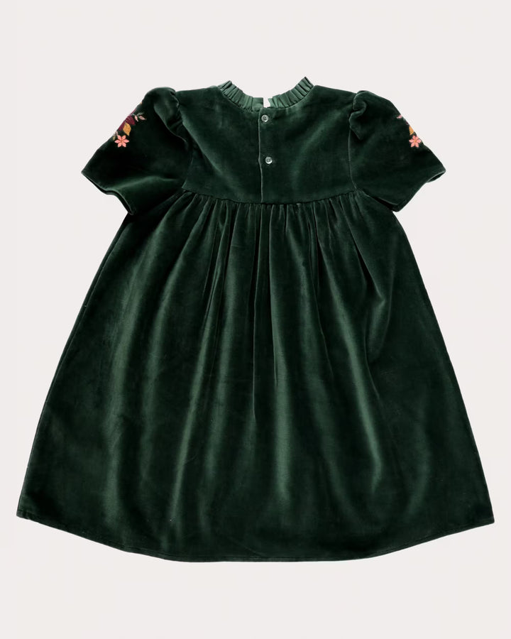 FC-FW26-00018 ERIKA DRESS SHORT - VELVET FOREST GREEN