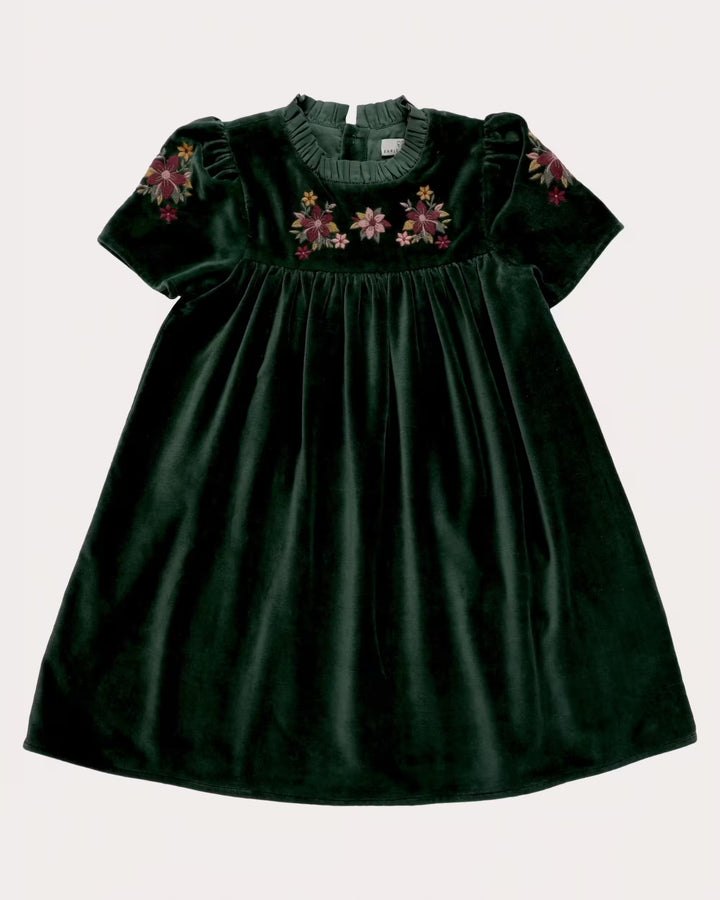 FC-FW26-00018 ERIKA DRESS SHORT - VELVET FOREST GREEN
