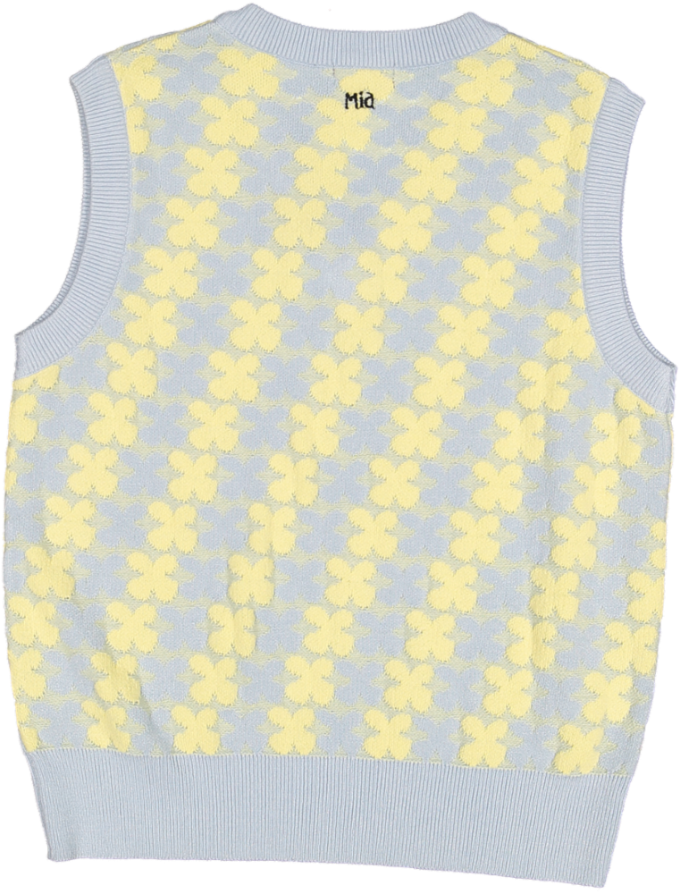 RUGELEY 2 - SKY BLUE