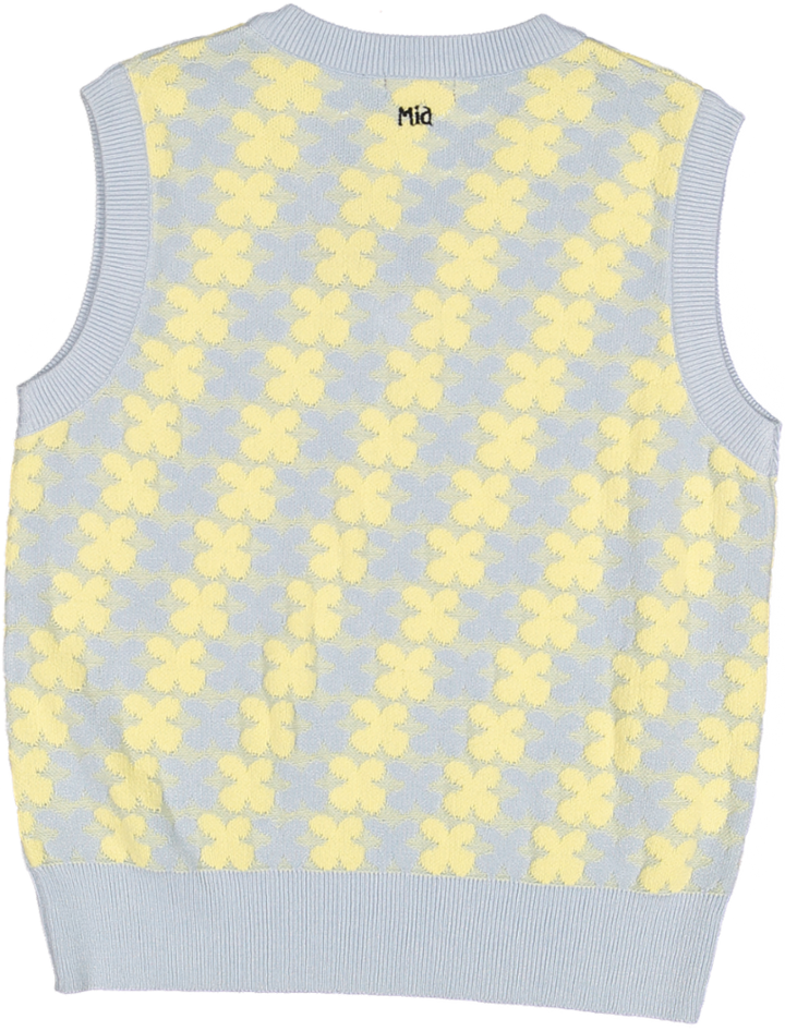 RUGELEY 2 - SKY BLUE