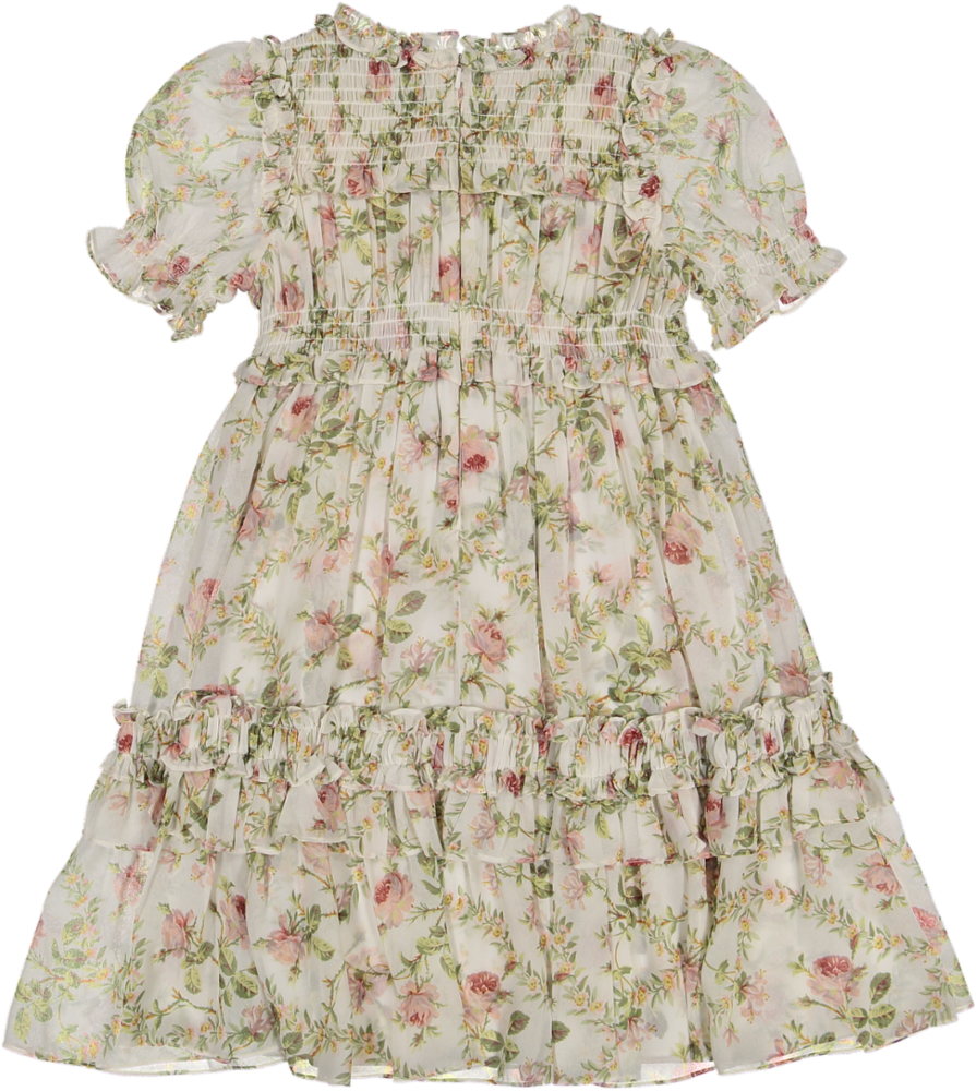 COLETTE'S ROSE EMILIA GEORGETTE KIDS DRESS-MOONSHINE