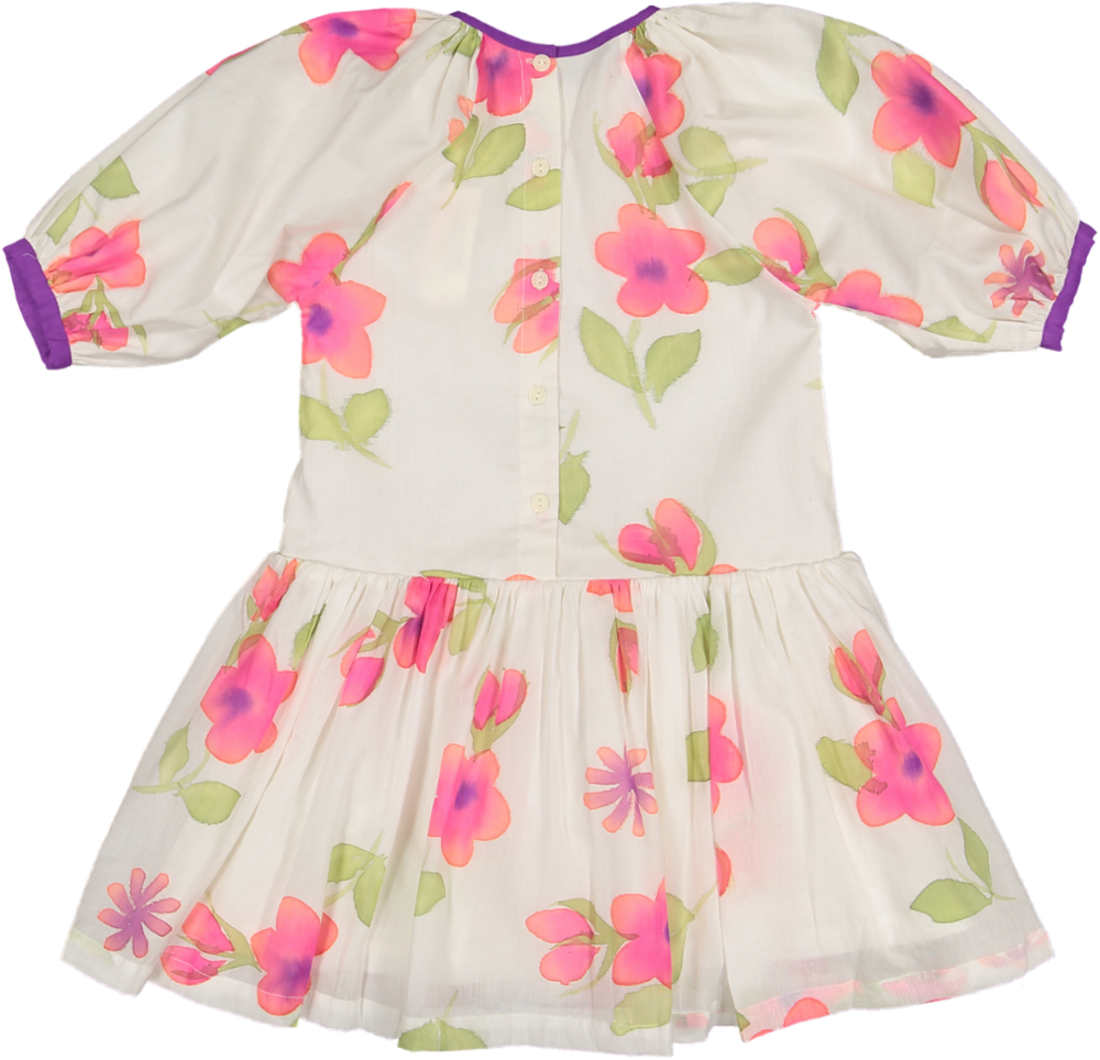 LENA 3/4 SLEEVE DRESS-TROPICAL PRINT