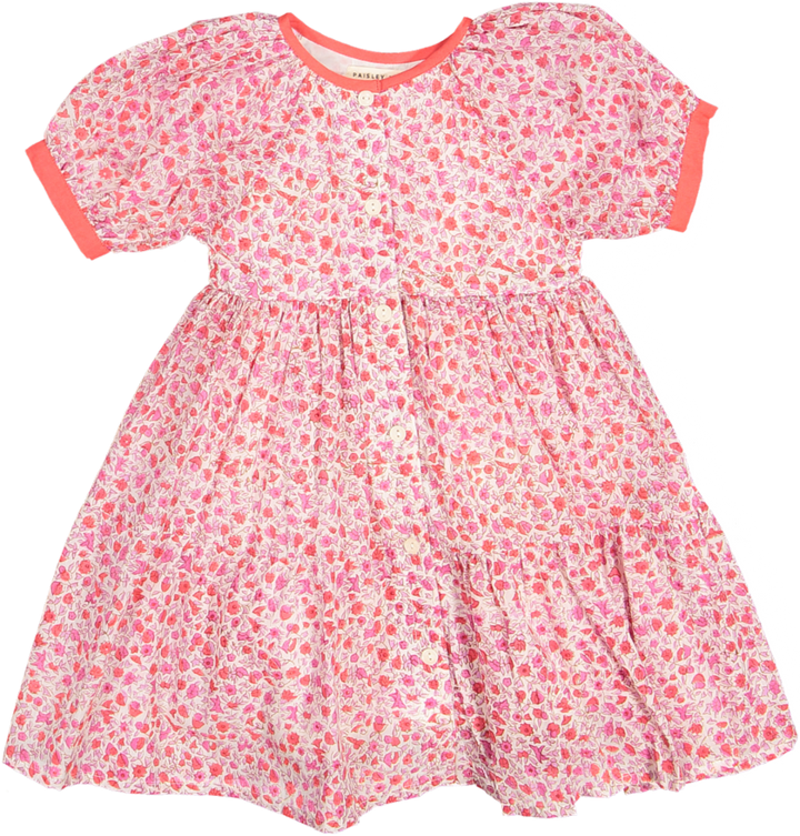 ROSELYN SHORT SLV DRESS