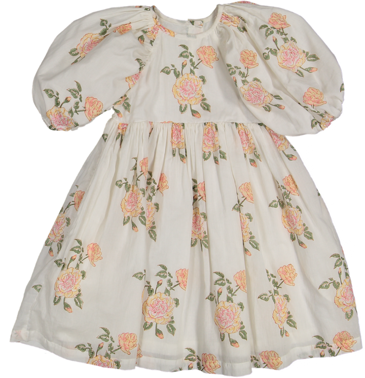 Amara 3/4 Sleeve DRESS-Rosa