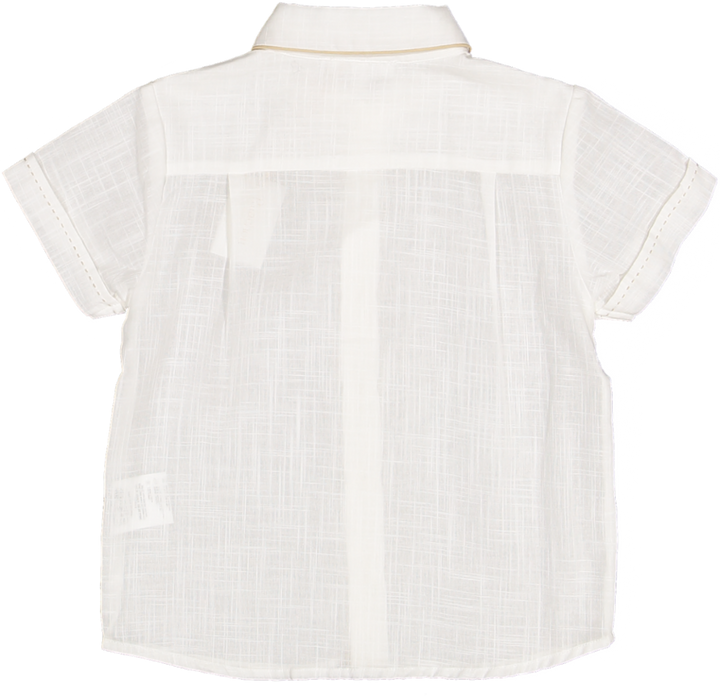 PAP/CM4233392 - BOY SHIRT 061